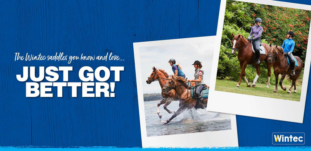Die bewährten Wintec Sättel, JETZT NOCH BESSER! image